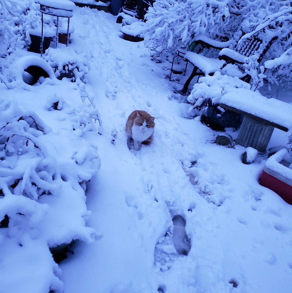 Meet your Posher, Beth